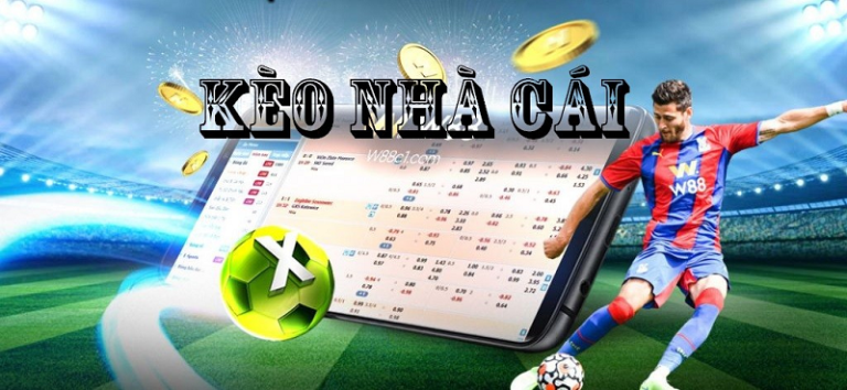 The Psychology Behind Bookmaker Odds: How Emotions Shape the Market
